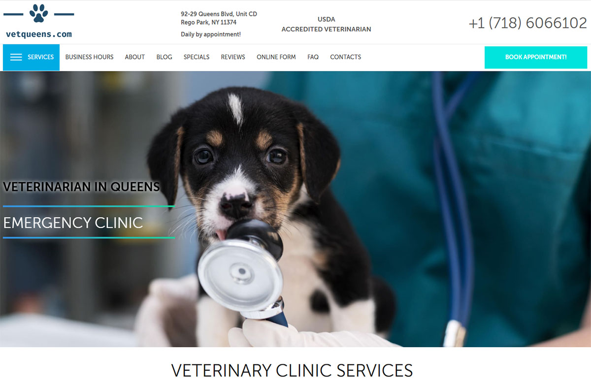 Veterinarian in Queens, NY